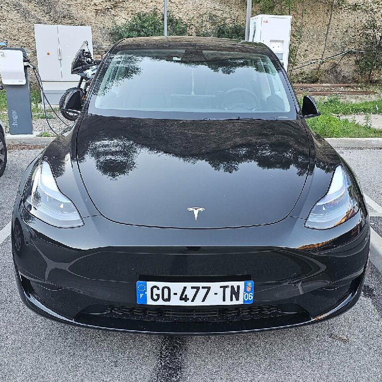 Mietwagen mit Fahrer Nice: Tesla