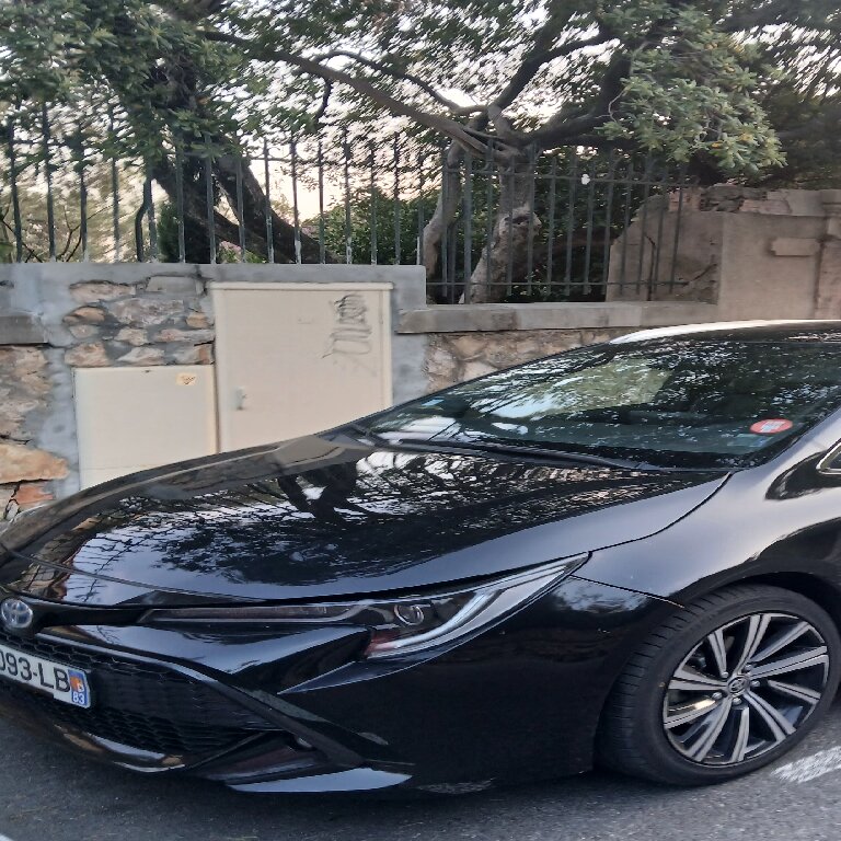 Personenvervoer La Seyne-sur-Mer: Toyota