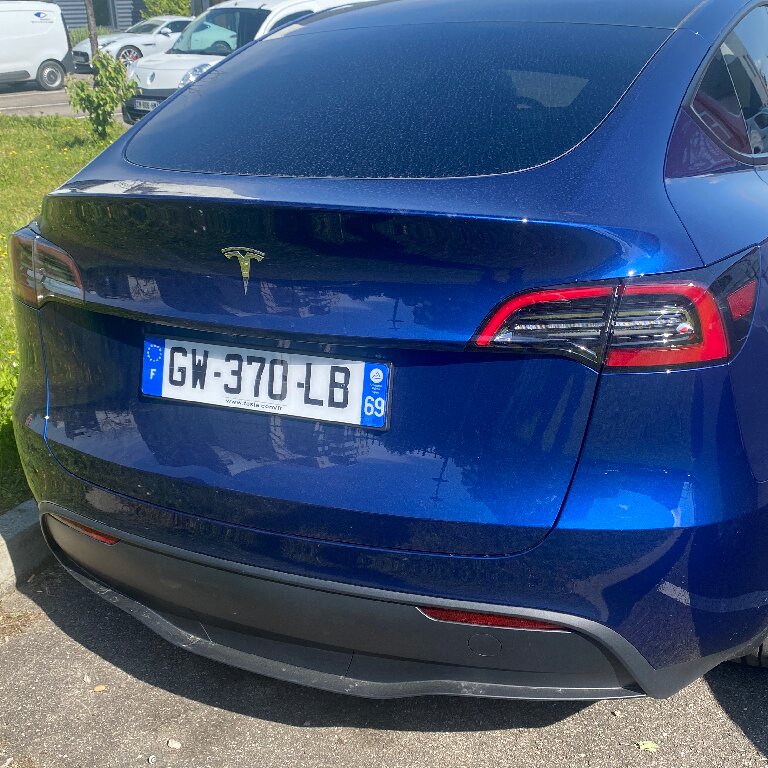 Personenvervoer Saint-Fons: Tesla