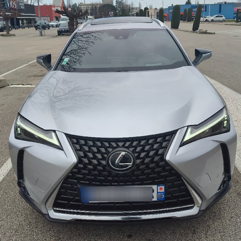 Mietwagen mit Fahrer: Lexus