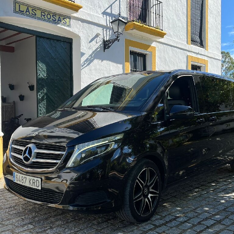 Taxi: Mercedes