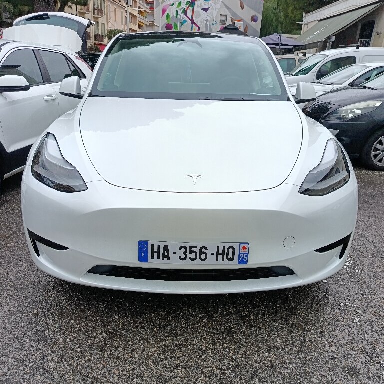 Personenvervoer: Tesla