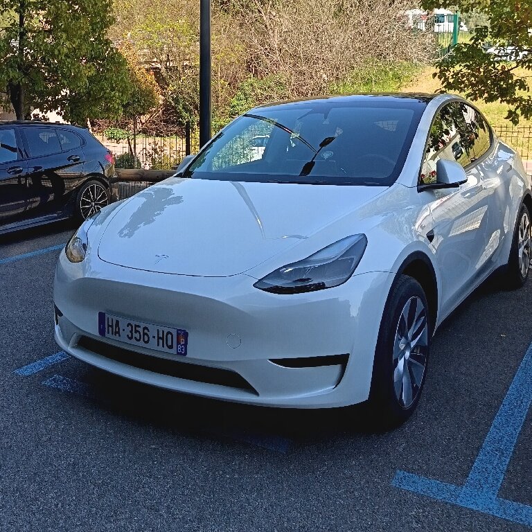 Personenvervoer: Tesla