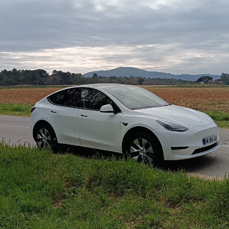 Personenvervoer: Tesla