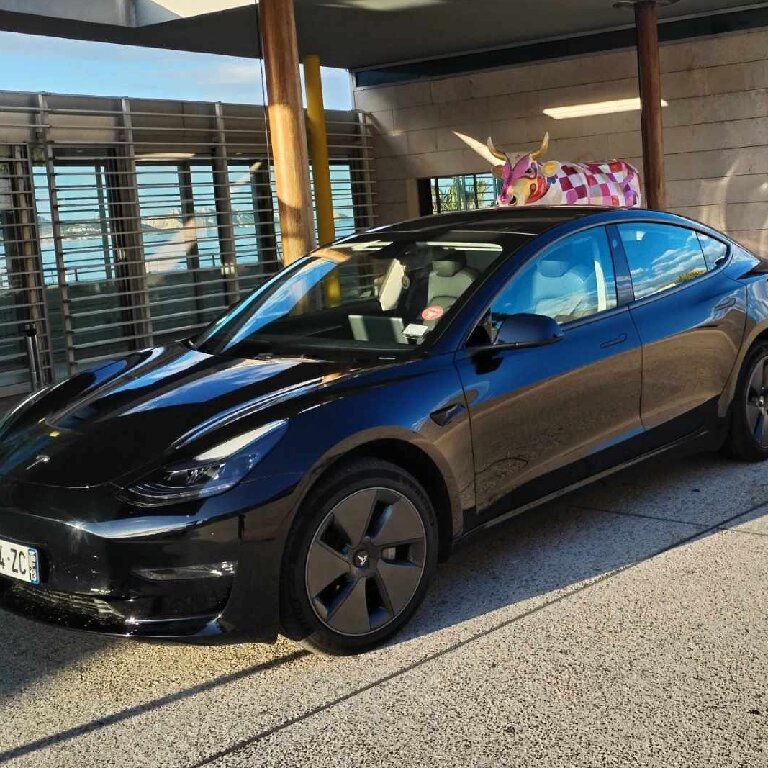 Mietwagen mit Fahrer: Tesla