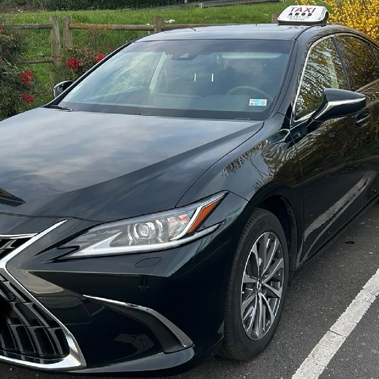 Mietwagen mit Fahrer: Lexus