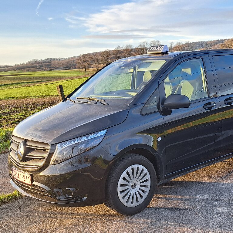 Mietwagen mit Fahrer: Mercedes