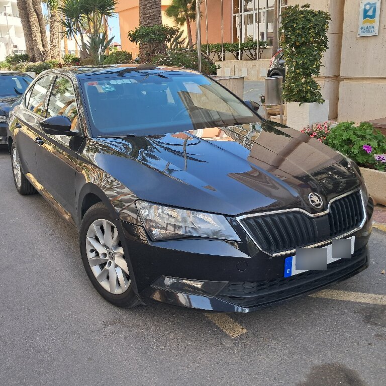 Mietwagen mit Fahrer: Skoda