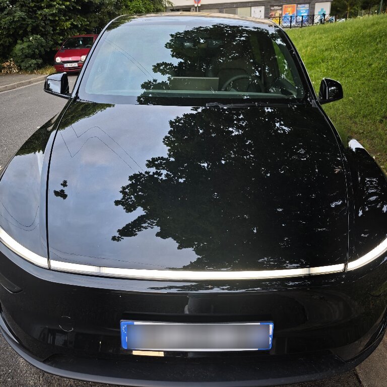 Personenvervoer: Tesla