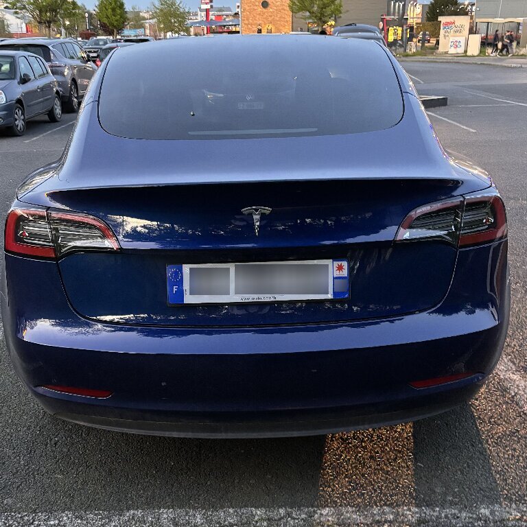 Mietwagen mit Fahrer: Tesla