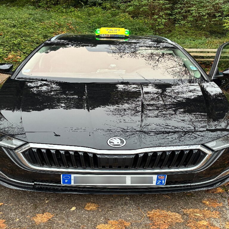 Mietwagen mit Fahrer Neuilly-lès-Dijon: Skoda