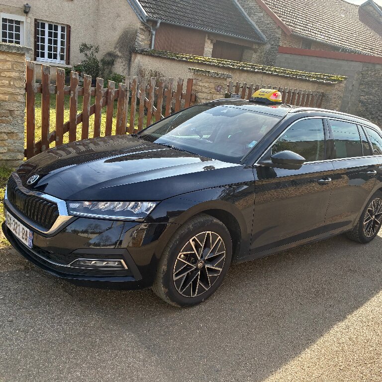 Mietwagen mit Fahrer Neuilly-lès-Dijon: Skoda