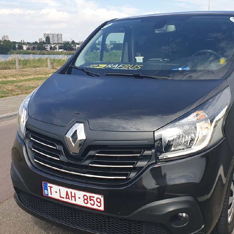 Mietwagen mit Fahrer: Renault