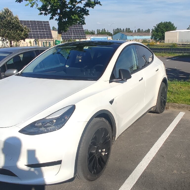 Mietwagen mit Fahrer: Tesla