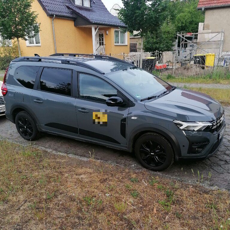 Mietwagen mit Fahrer: Dacia