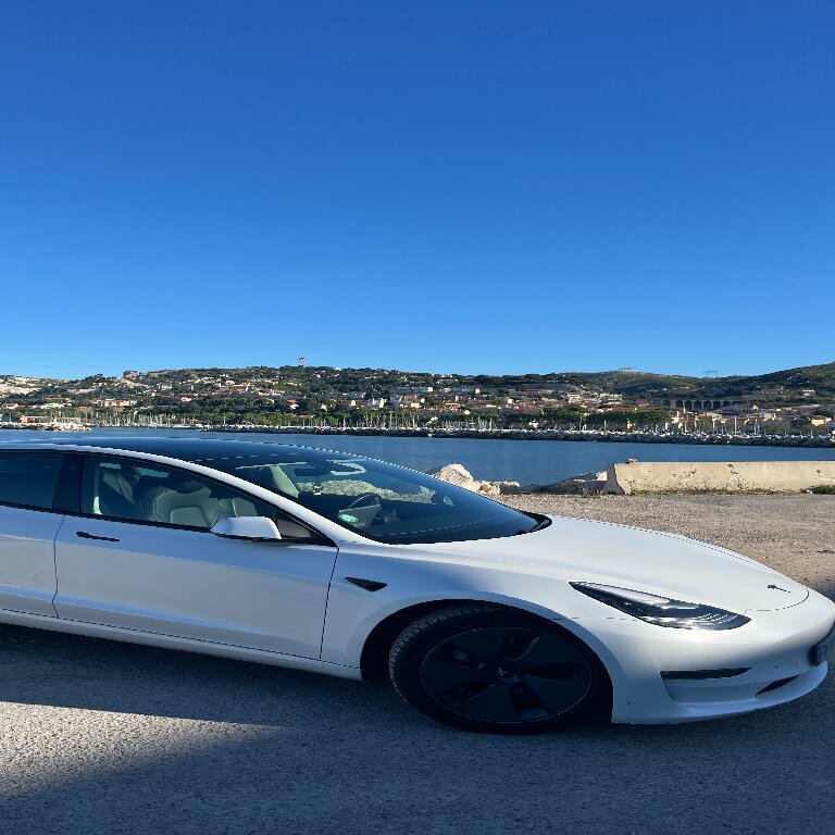 Mietwagen mit Fahrer: Tesla