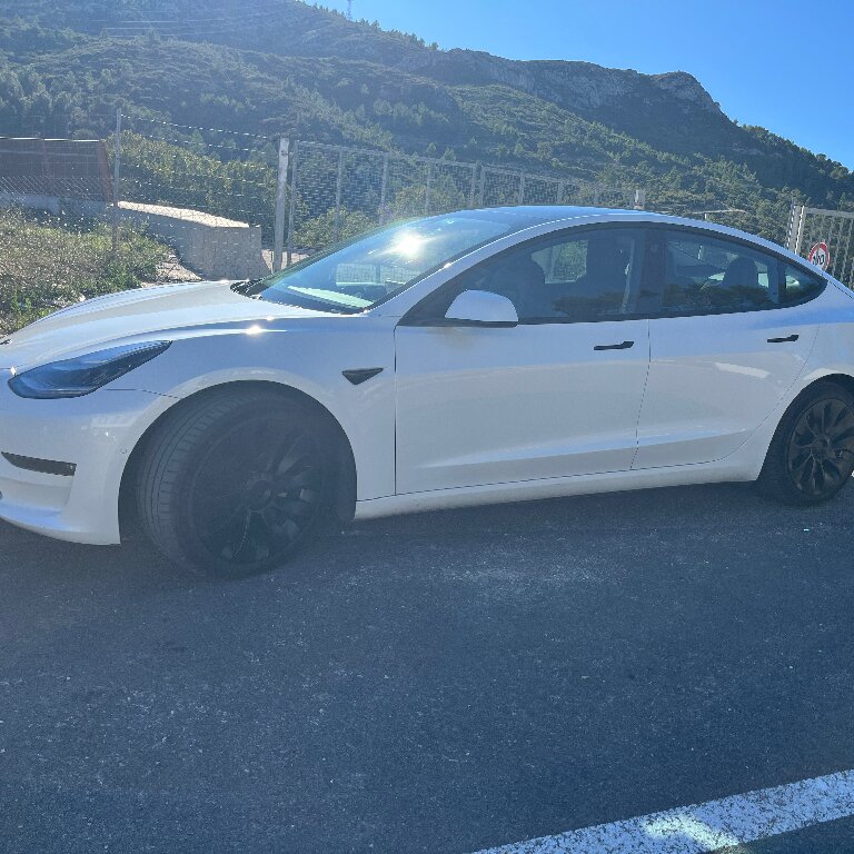 Mietwagen mit Fahrer: Tesla