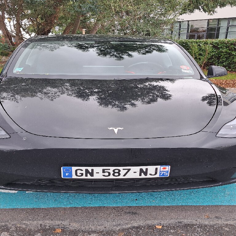 Mietwagen mit Fahrer: Tesla