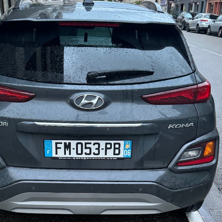 Mietwagen mit Fahrer: Hyundai