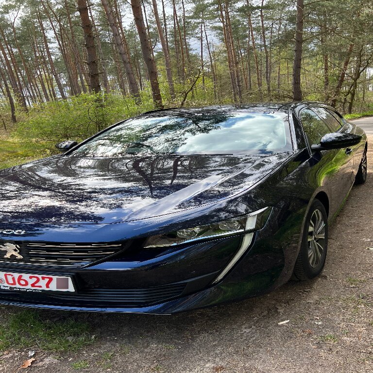 Mietwagen mit Fahrer: Peugeot