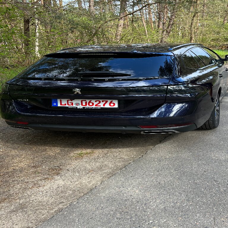 Mietwagen mit Fahrer: Peugeot