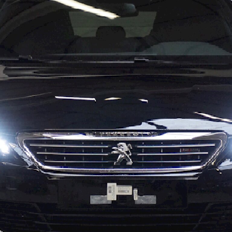 Mietwagen mit Fahrer: Peugeot