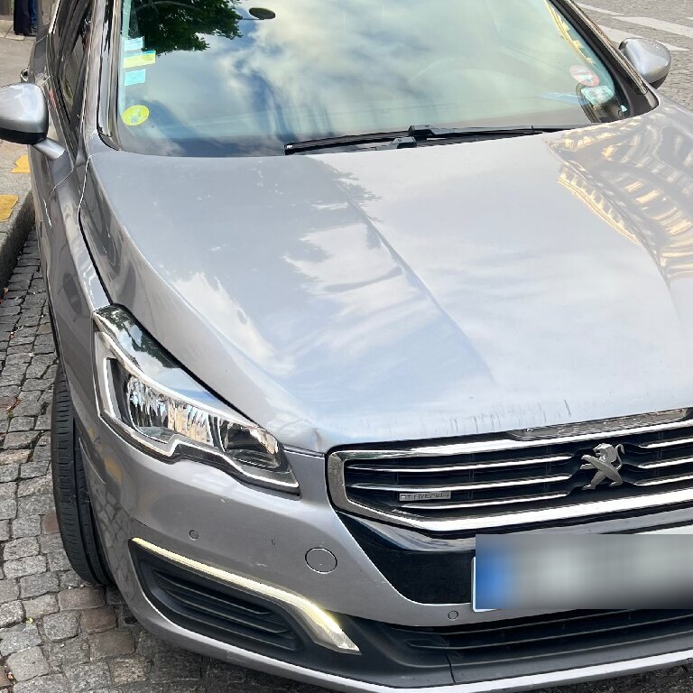 Mietwagen mit Fahrer: Peugeot