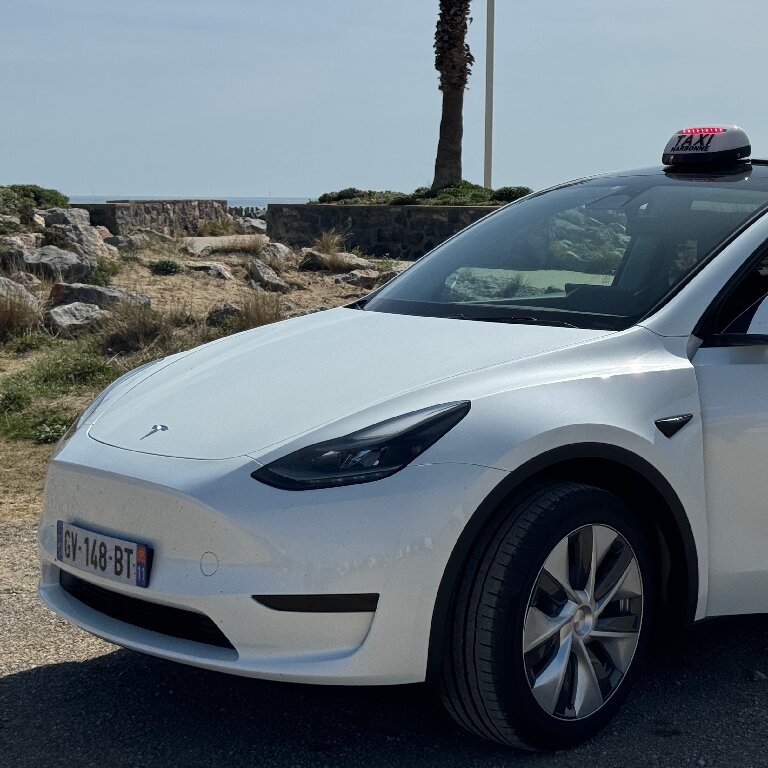 Taxi: Tesla