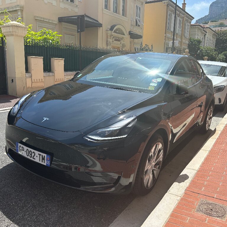 Personenvervoer: Tesla