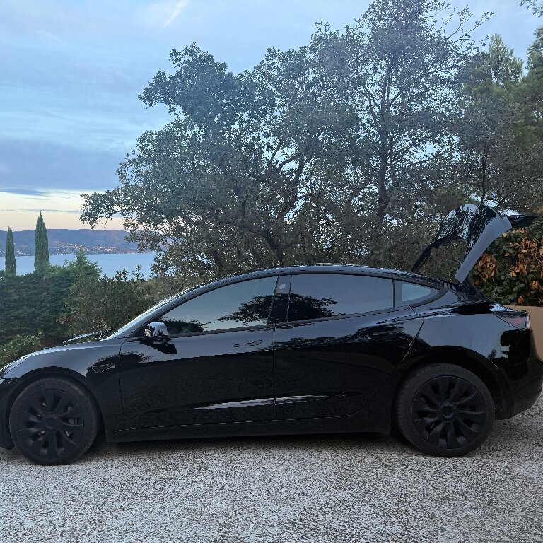 Personenvervoer: Tesla