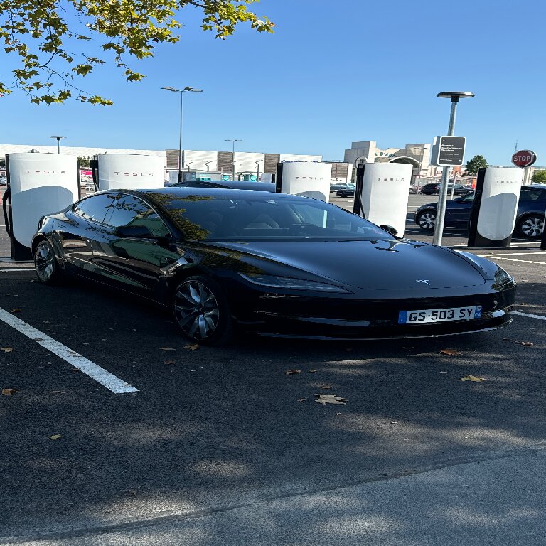 Mietwagen mit Fahrer: Tesla