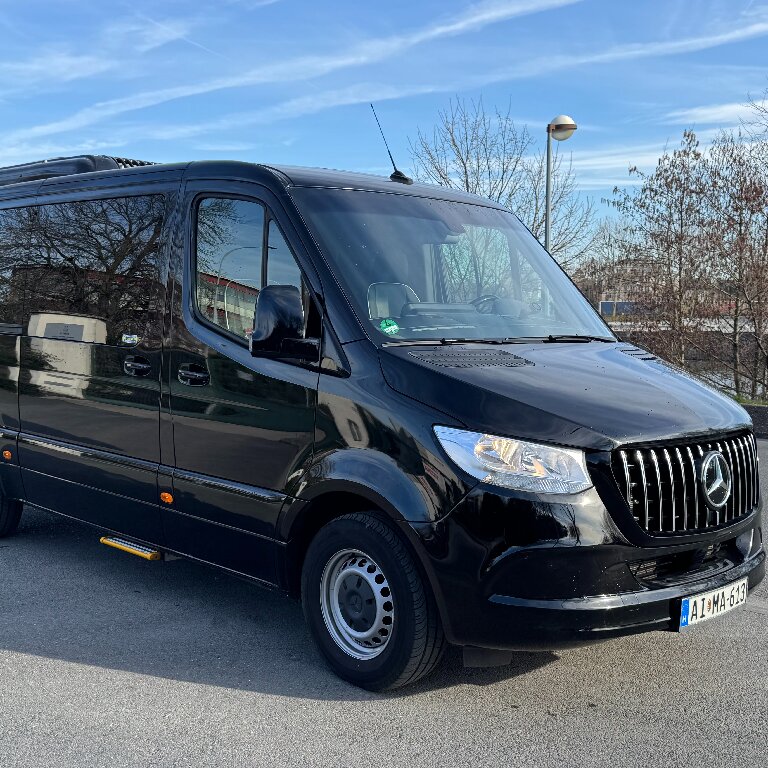 Mietwagen mit Fahrer: Mercedes