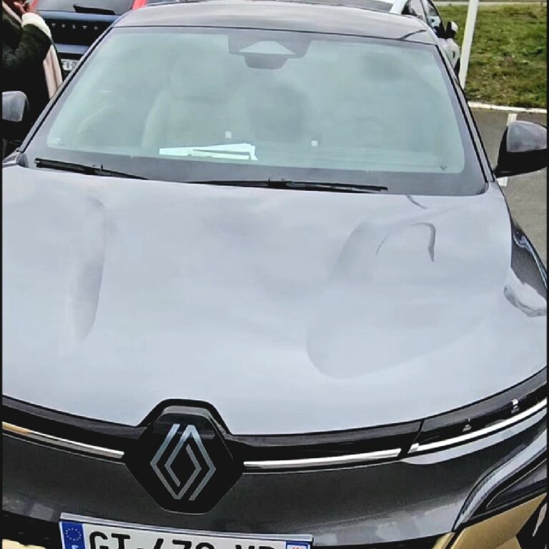 Mietwagen mit Fahrer: Renault