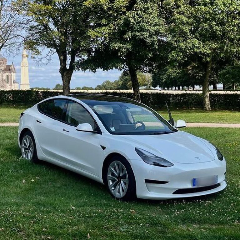 Mietwagen mit Fahrer: Tesla