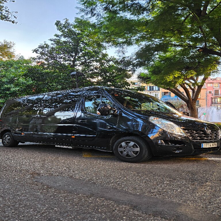 Personenvervoer: Renault