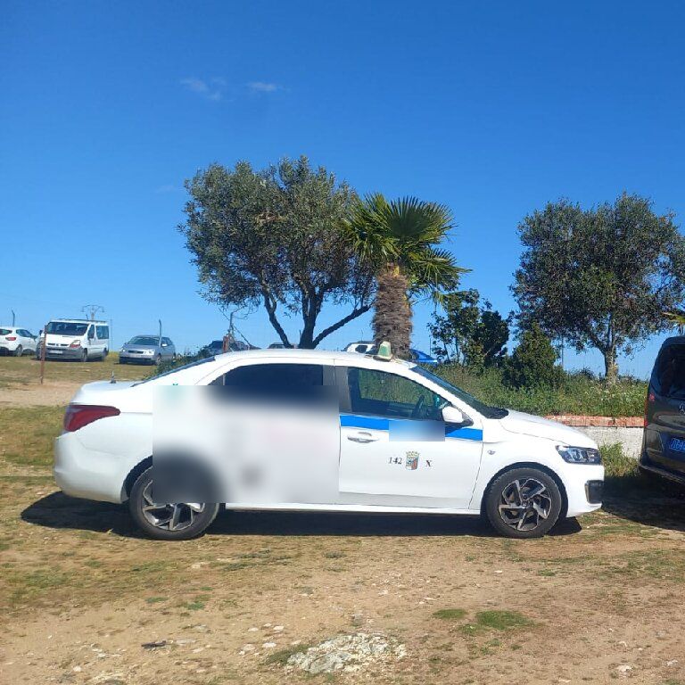 Mietwagen mit Fahrer: Citroën