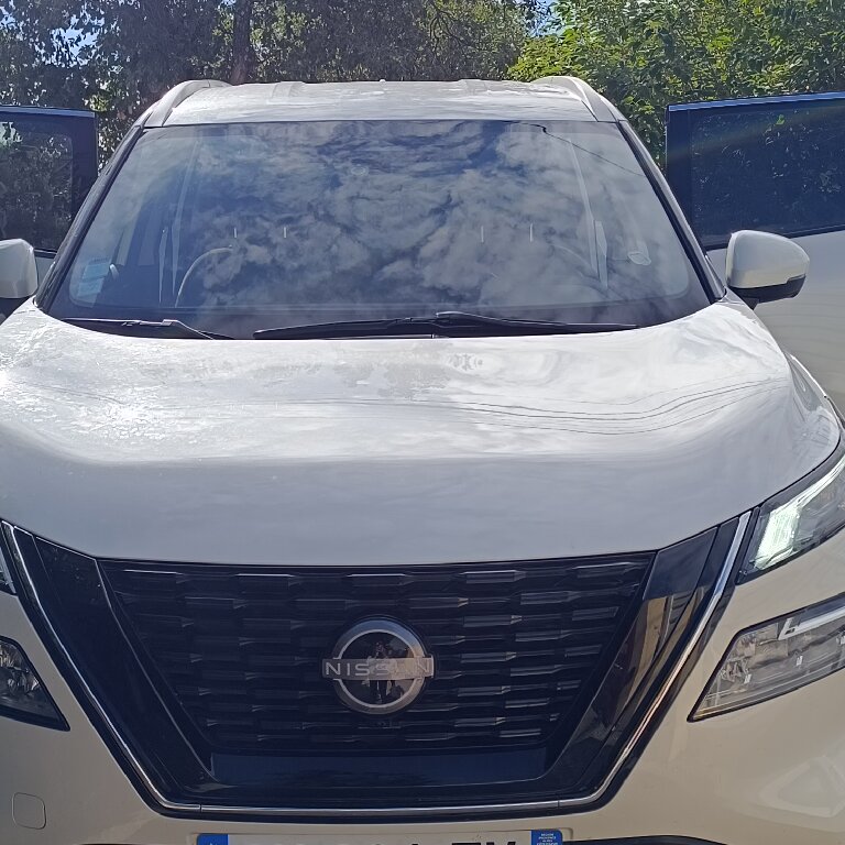 Mietwagen mit Fahrer: Nissan