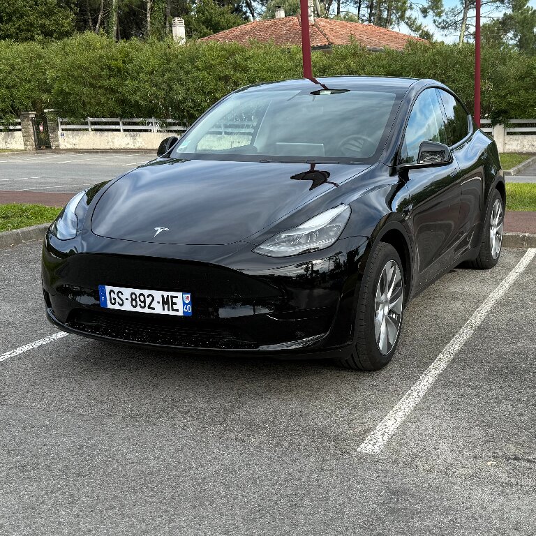 Mietwagen mit Fahrer: Tesla