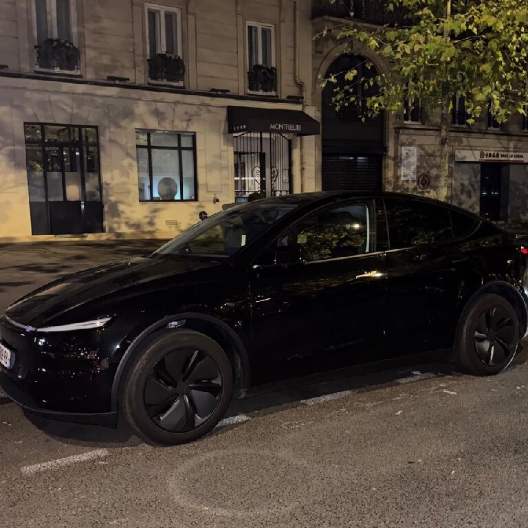 Mietwagen mit Fahrer: Tesla