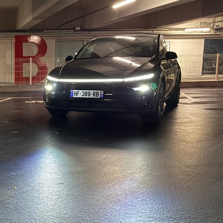 Mietwagen mit Fahrer: Tesla