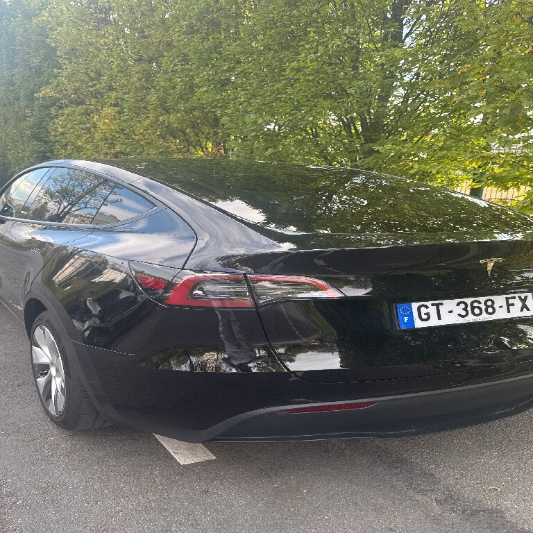 Mietwagen mit Fahrer: Tesla