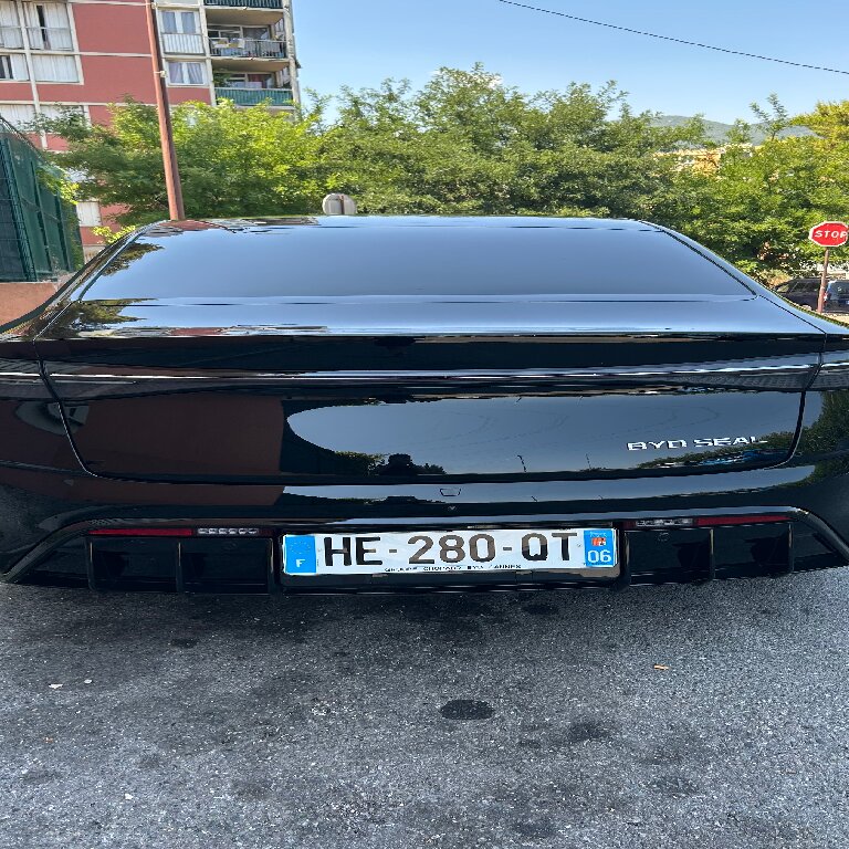 Mietwagen mit Fahrer: BYD