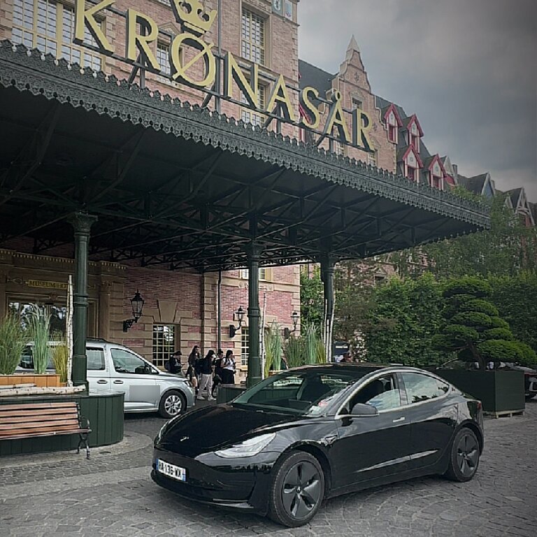 Mietwagen mit Fahrer: Tesla