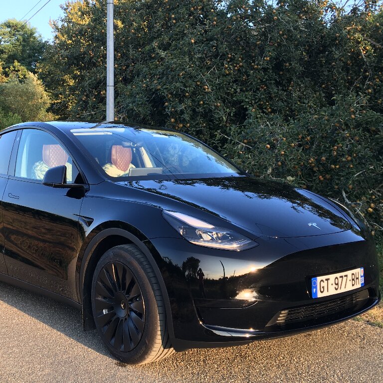 Mietwagen mit Fahrer: Tesla