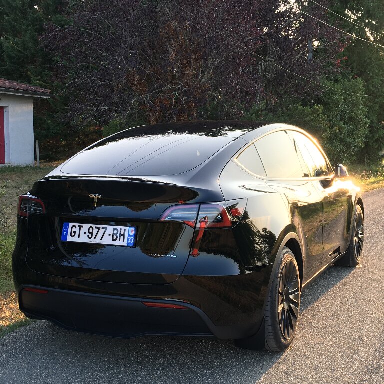 Mietwagen mit Fahrer: Tesla