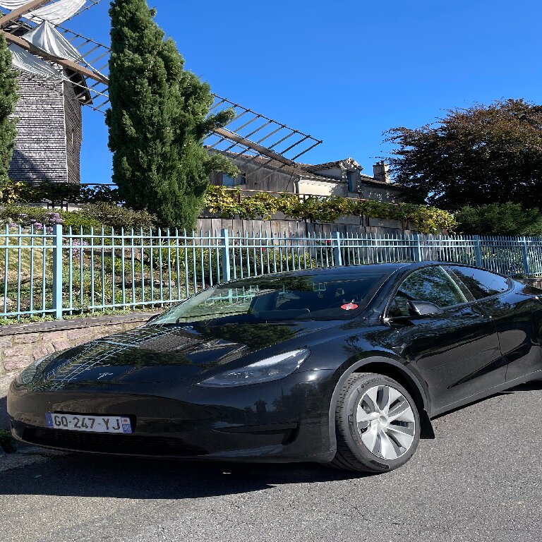 Mietwagen mit Fahrer: Tesla