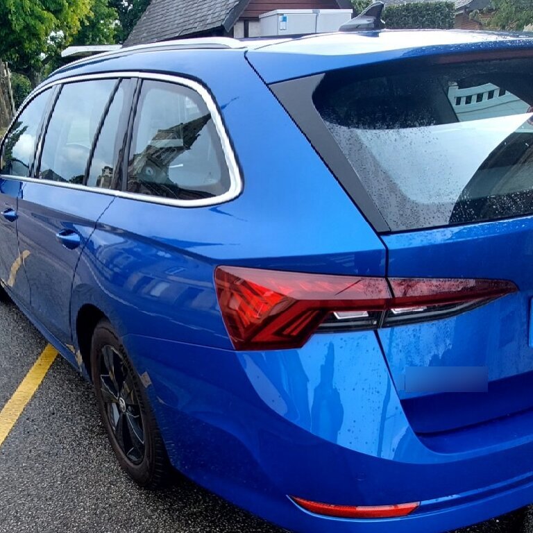 Mietwagen mit Fahrer: Skoda