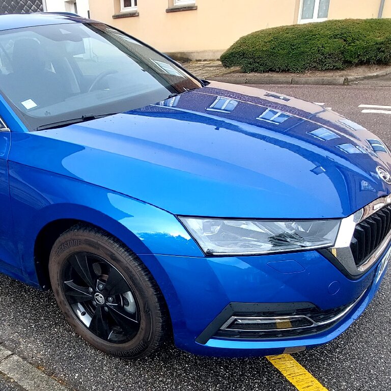 Mietwagen mit Fahrer: Skoda