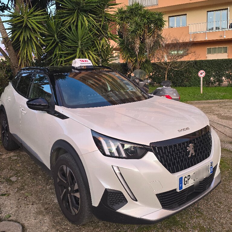 Taxi: Peugeot