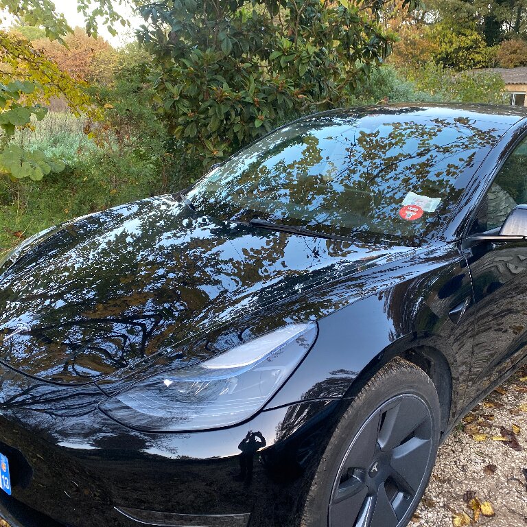 Mietwagen mit Fahrer: Tesla